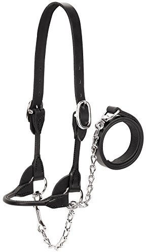 Weaver Cuero Ganado 90-0530 Dairy/Carne Redonda Show Cabestro Extra Grande Negro XL