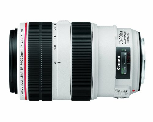 CANON EF 70-300mm f/4-5.6L IS USM - Teleobiettivo con zoom