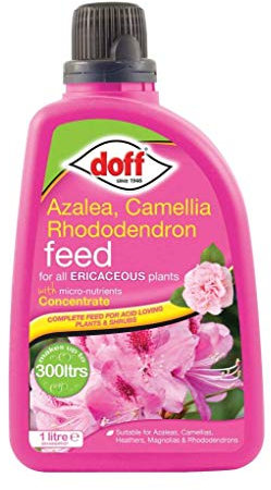 Doff Ericaceous Plant Feed - Concentrate 1L