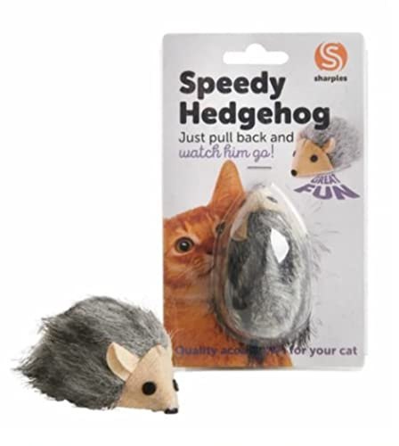 Ruff 'n' Tumble Speedy Hedgehog Toy