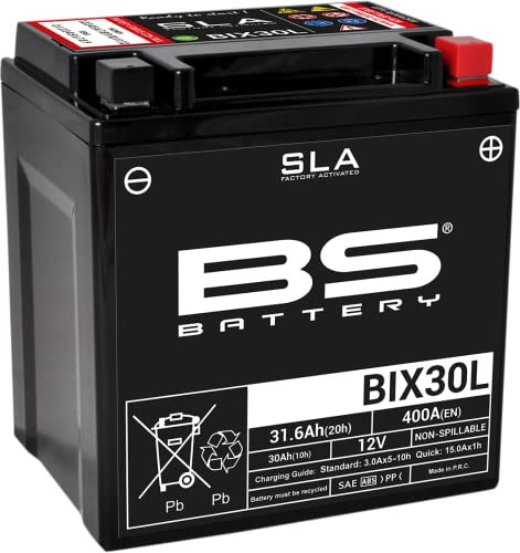BS Battery 300631 bix30l AGM SLA Batería de moto, color negro