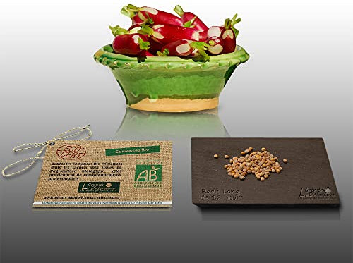 150 graines Bio à semer - Le Grenier d'Abondance - RADIS Long de 18 jours - Certifié AB - Raphanus sativus