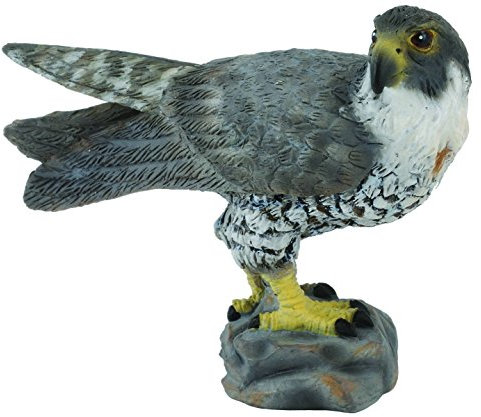 Collecta - Col88399 - Faucon Pèlerin - Taille S