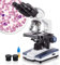 Amscope 40x-2500X Digitales Binokular Compound Mikroskop mit mehreren Objektiven x/y Krueztisch Labormikroskop Abbe-Kondensator mit Irisblende