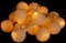 GURU SHOP Stoff Ball Lichterkette, 20`er LED Kugel Lampion Lichterkette - Vanille, 7x7x350 cm