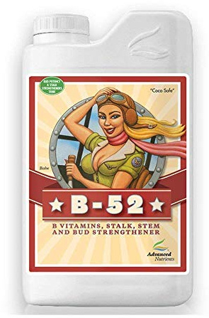 Avancerade näringsämnen B-52 500 ml