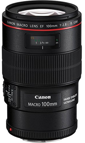 Canon EF 100mm f/2.8L IS USM Macro Lens for Canon Digital SLR Cameras, Lens Only Black