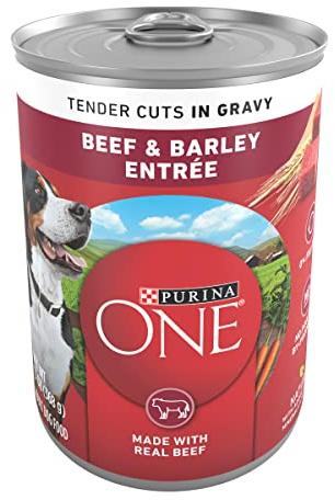Purina ONE Natural Wet Dog Food Gravy, Tender Cuts in Gravy Beef and Barley Entrée - 13 Ounce (Pack of 12)