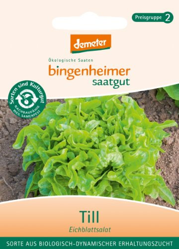Bingenheimer Saatgut - Pflücksalat Eichblattsalat Till - Gemüse Saatgut / Samen