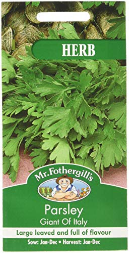 Mr Fothergill's 17533 Herb Seeds, Parsley Giant of Italy, Green