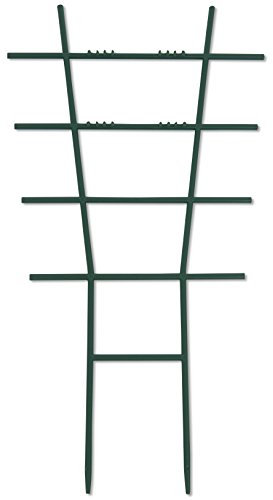 Windhager Blumenstütze Rankhilfe Gitterspalier Rankgitter Kunststoff, gerade, Grün, 25,5 x 15 cm