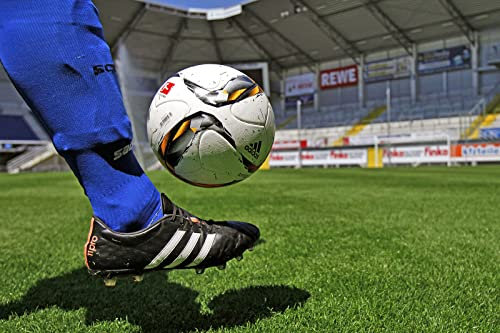 Kiepenkerl RSM 3.2 Profi Sportrasen Regeneration mit Poa 10kg, Rasensamen, Rasensaat