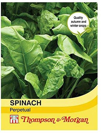 Thompson & Morgan - Vegetable - Spinach Perpetual - 250 Seeds