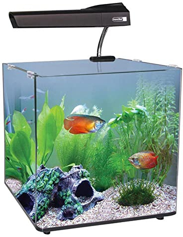 Aqua One Aqua Nano 40 55L Complete Tropical Glass Aquarium Set, 40 cm