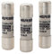 Ferraz shawmut 16011 – Cartouche Ute industrielle 10 x 38 Gi 1 A