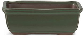 Certrè - Vaso Bonsai Rettangolare in Gres, Modello Venezia, Made in Italy, Colore Verde Palude (Smaltato)| 21x7x15,5 cm