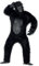 Gorilla Deluxe Kostüm Schwarz Bodysuit mit Gummi-Brust Maske Händen und Füßen, One Size