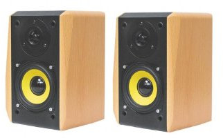 Dynavox TG-1000M Mini-Aktiv Lautsprecher 35 Watt buche (Paar)