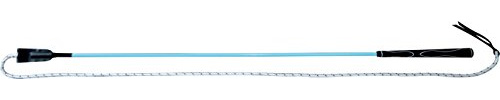 Whip and Go Bâton Ethologique Mixte Adulte - Bleu Clair - 100 cm - 953441100