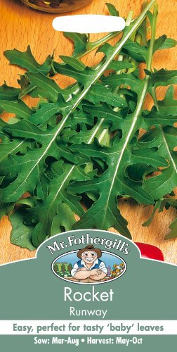 Mr Fothergill's Rocket Runway