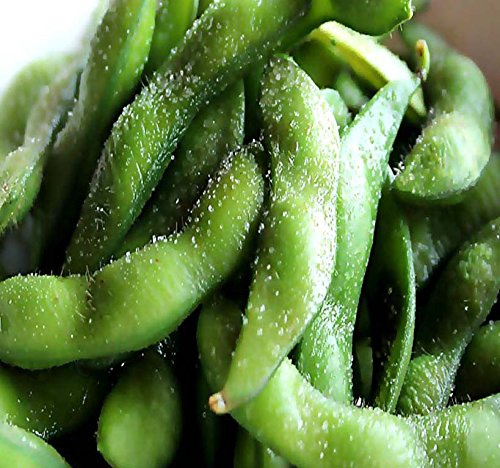 4 oz (500) x Japanese Edamame Seeds ~~ Soy Bean HIGH in Protein - Young Soy Bean - 80-90 Days (0500 Seeds - 4 oz)