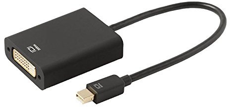 Techlink iWires – Cable Mini Display Port a DVI Cable Adaptador