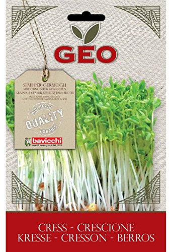 Geo Graine à Germer Cresson Brun 12,7 x 0,7 x 20 cm