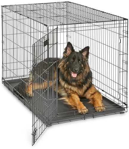 MidWest Homes for Pets 48-Inch iCrate for Extra-Large Breeds, 90-110 lbs, Single Door Folding Dog Crate with Divider Panel, Leak-Proof Tray & Secure Latches, Portable, Durable & Easy to Assemble