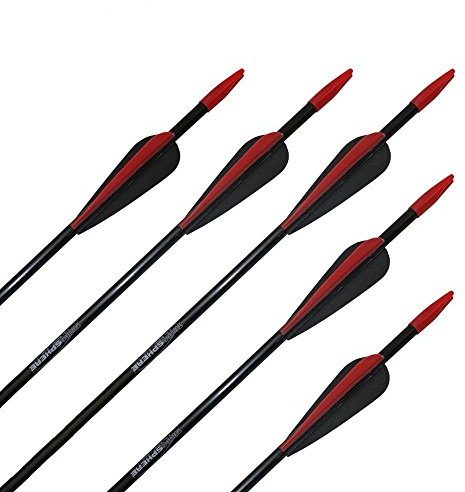 10x TropoSPHERE Fiberglaspfeil mit Blechspitze, 26 Zoll