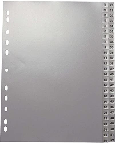 Neutral Zahlenregister 1 52, PP A4, 52 Blatt 2 Abläufe grau
