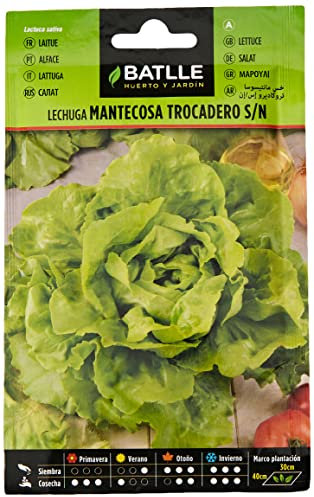 Semi Batlle – Insalata mantecosa