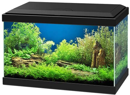 Ciano Aqua 20 Aquarium with LED Lights & Filter BLACK