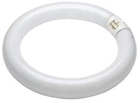 T9 Circular Flourescent Tube 32W - Colour Cool White- 840 - T9 G1OQ