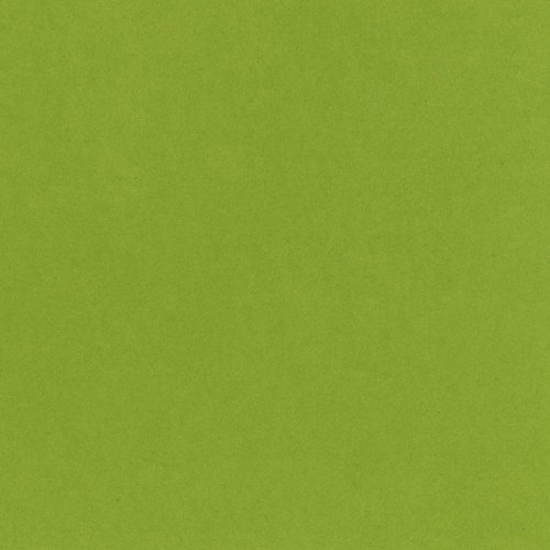 Bazzill 304208 Card Stock Easter Grass
