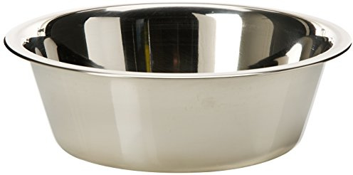 AMI CONFORT Bol pour Chien en Inox 24 cm