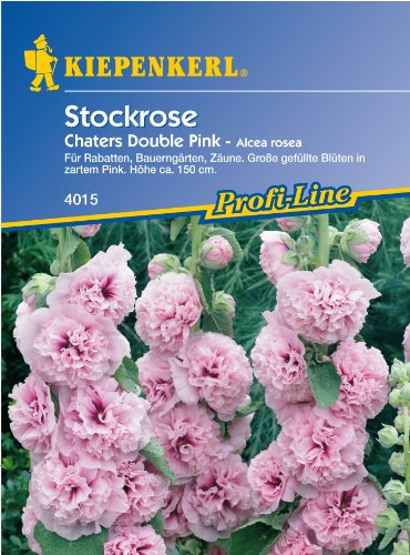 Sperli Blumensamen Stockrose Chaters Pink, grün
