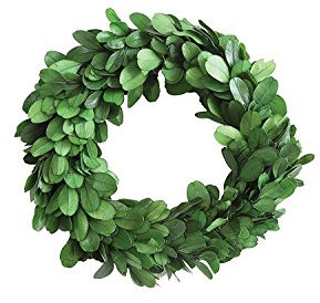 Creative Co-Op Konservierter echter Buchsbaumkranz, 6