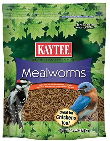 Kaytee Wild Bird Food Mealworms For Bluebirds, Wrens, Robins, Chickadees, Woodpeckers, Cardinals & Chickens, 17.6 Ounce