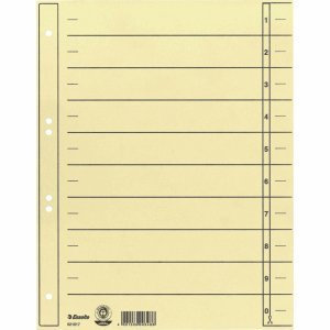 Esselte 100 x Trennblätter A4 180g/qm chamois