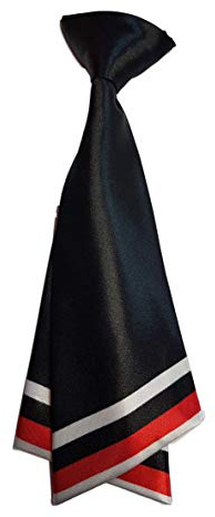 Fat-catz-copy-catz Ladies girls fashion pre-tied satin bow neck tie double layered cravat 10+ colours party fancy dress (Black & Red Stripe Ladies Cravat)