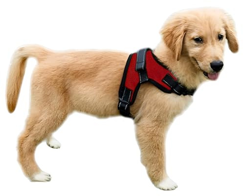 Copatchy No Pull Reflective Adjustable Dog Harness with Handle- Comfortable Soft All Weather Mesh, Easy On Puppy Harness for Small Medium and Large Dogs (Red) Small