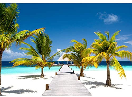 Runa Art Fototapete Strand Meer Palmen Modern Vlies Wohnzimmer Schlafzimmer - Made in Germany - 308 x 220 cm Blau Grün Weiss 9035010b