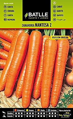 Semillas Batlle Carottes Carotte de Nantes 2 - Urgelba, Orange
