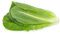 Just Seed - Vegetable - Lettuce - Winter Density - 500 Seed - Economy Pack