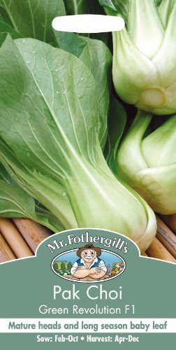 Mr Fothergills - Pictorial Packet - Vegetable - Pak Choi Green Revolution F1 - 175 Seeds