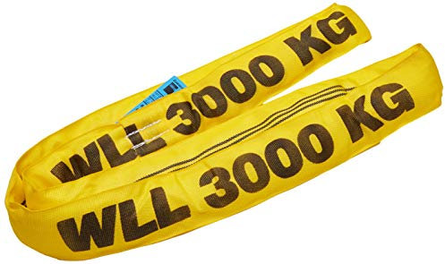 Braun 30021RS - Correa transportadora (poliéster, resistencia: 3000 kg, 2 m), color amarillo