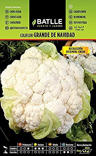 Semillas Batlle Coliflor grande NAVIDAD (dic-en)