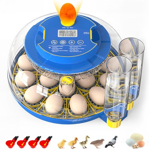 MYPIN Incubadora Huevos Gallina, Incubadora Automática para 18 Huevos, Control de Temperatura y Humedad, Volteo y Llenado de Agua Automático, con Ovoscopio