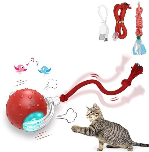 PET PIT Giocattoli Interattivi per Gatti, Palla Automatica Ricaricabile con 2 Code, Attivata dal Movimento con Suono d'Uccello per Gatti Adulti al Coperto
