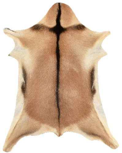 generisch Ziegenfell Beige Hellbraun ca.. 80 x 60 cm echtes Ziegen Fell Deko Fell von KUHFELLE ONLINE